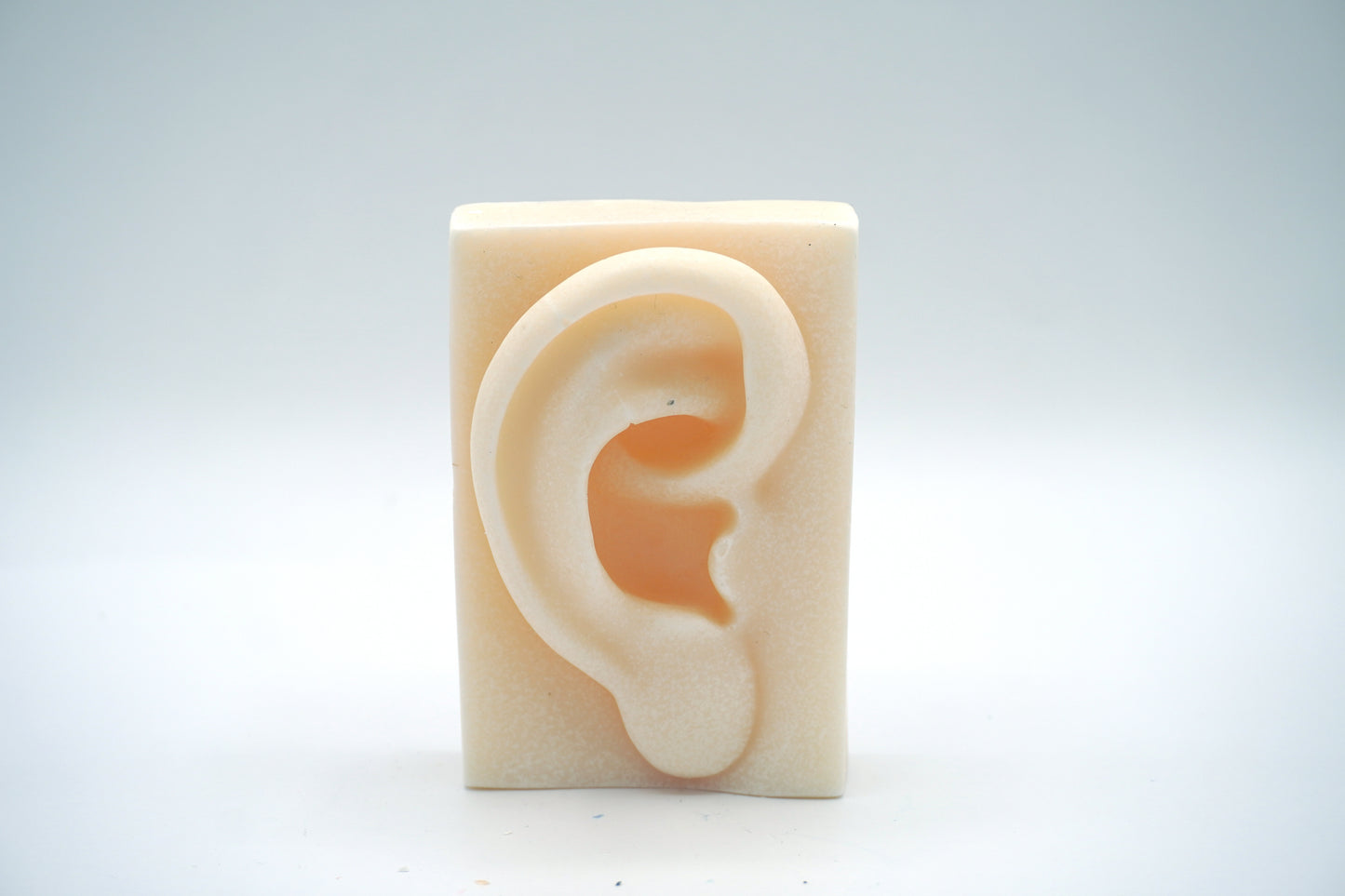 Fun Body Part - Ear