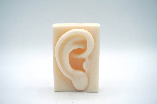 Fun Body Part - Ear